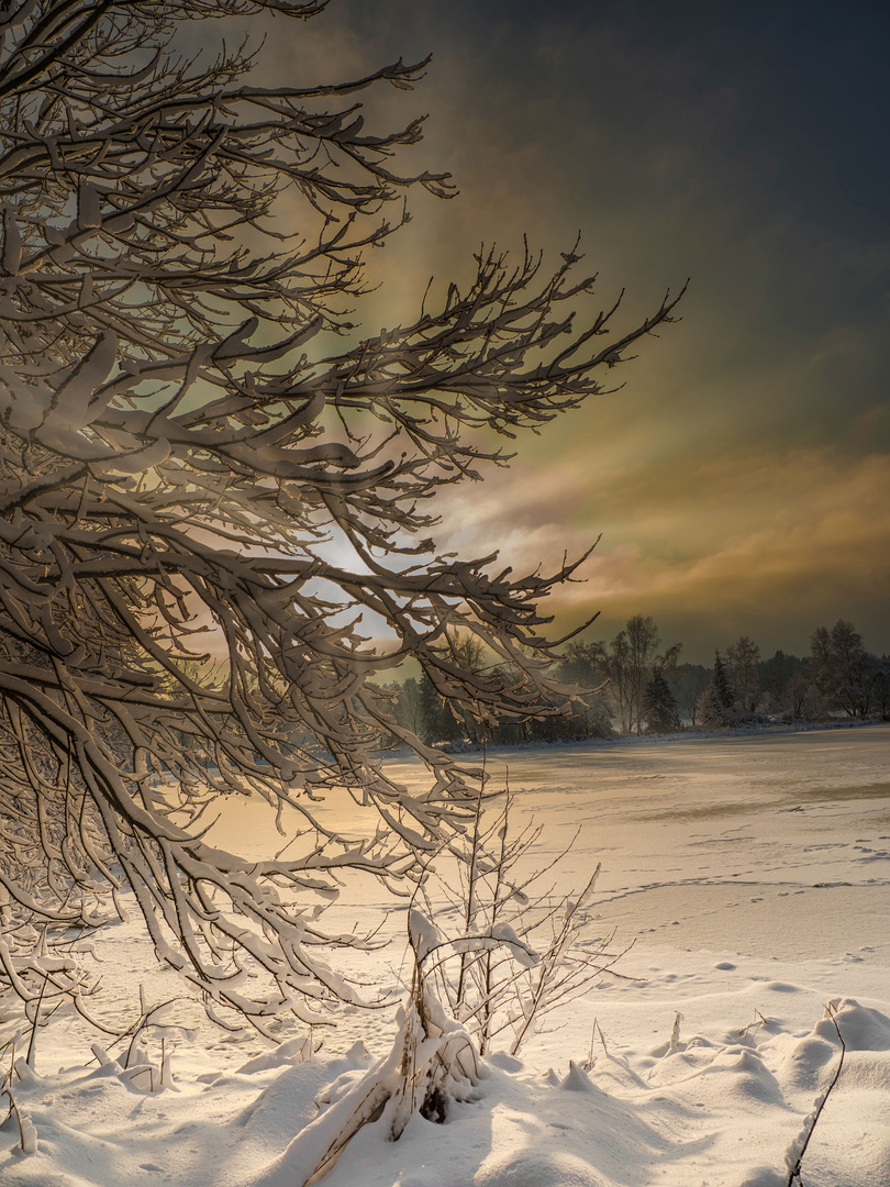 Am Holzweiher