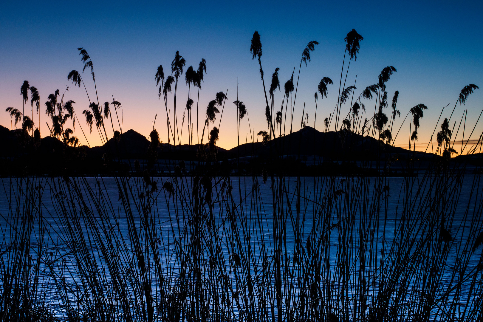 Am Hopfensee