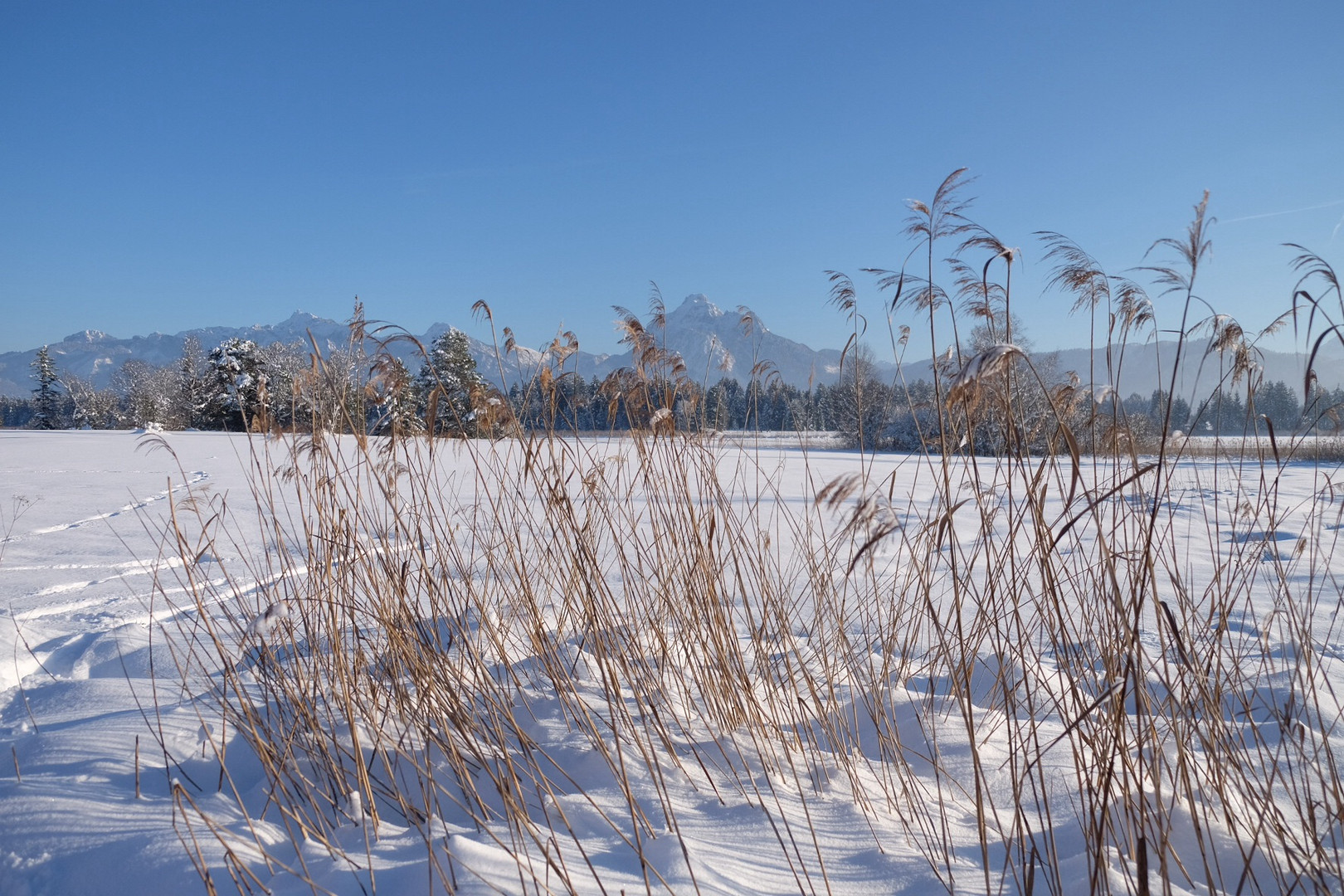 Am Hopfensee