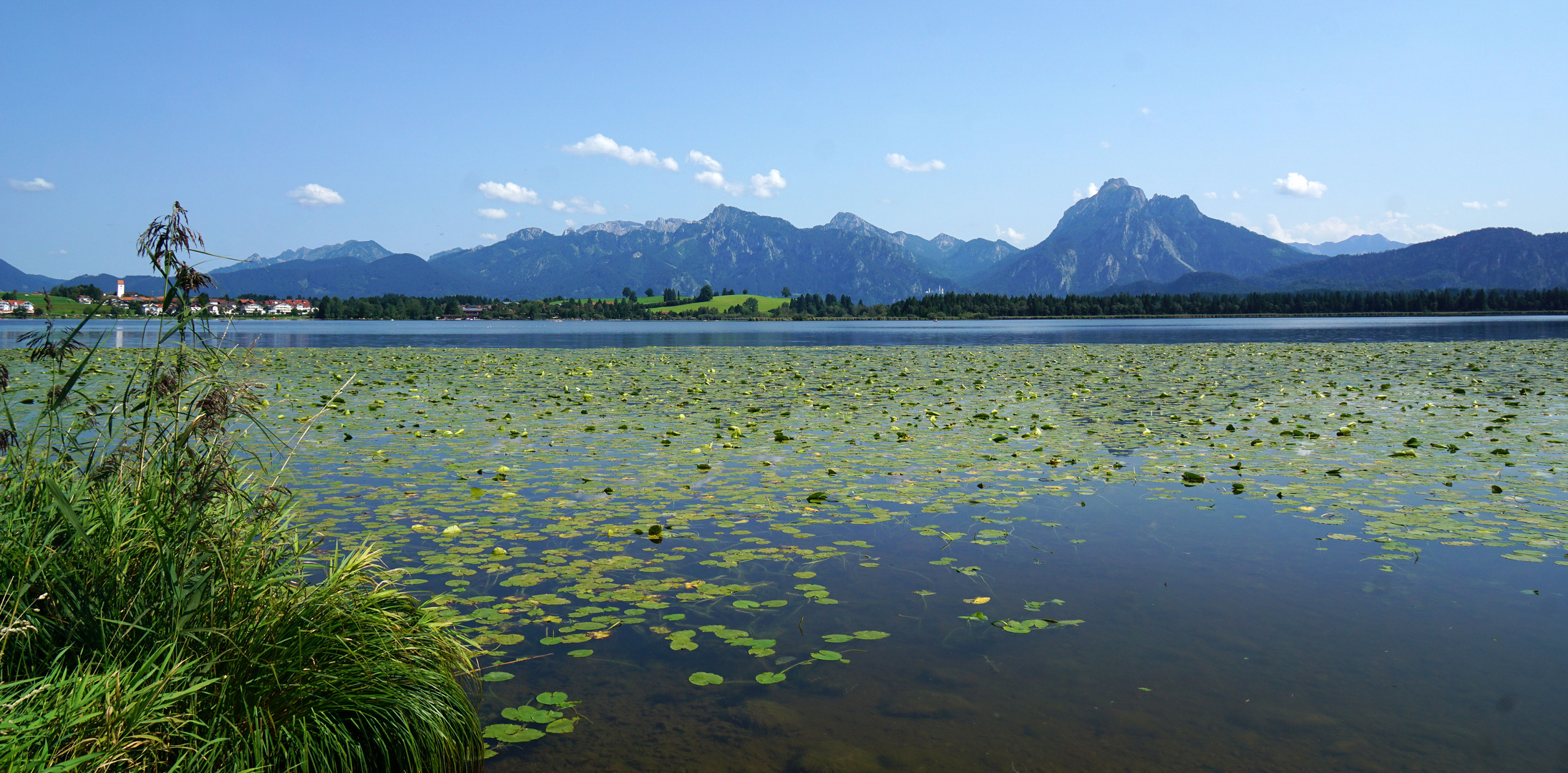 Am Hopfensee