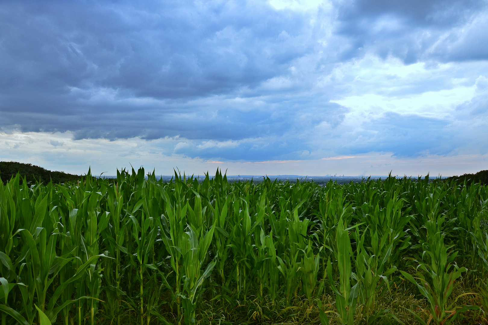 Am Horizont