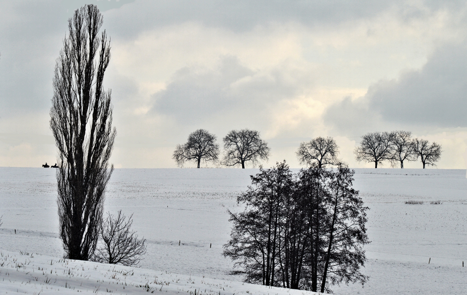 Am Horizont ...