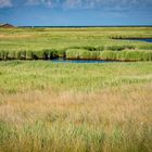 am Horizont das Meer