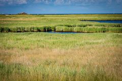 am Horizont das Meer