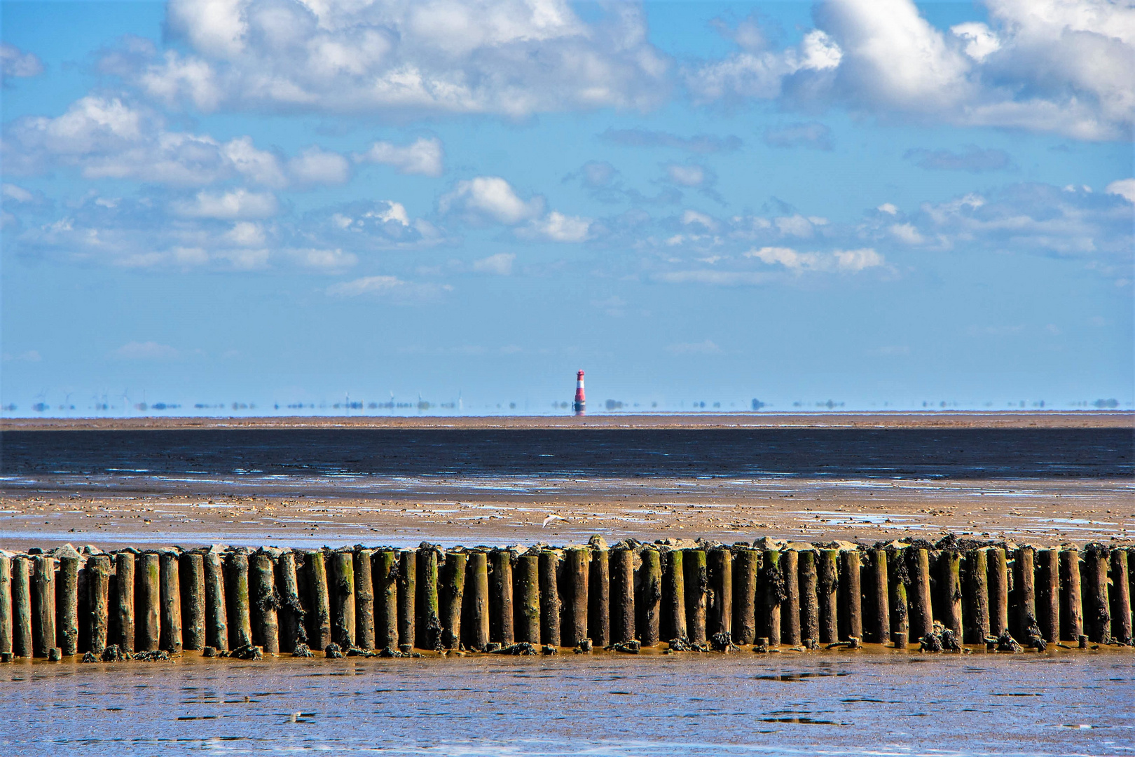 Am Horizont der Leuchtturm Arngast