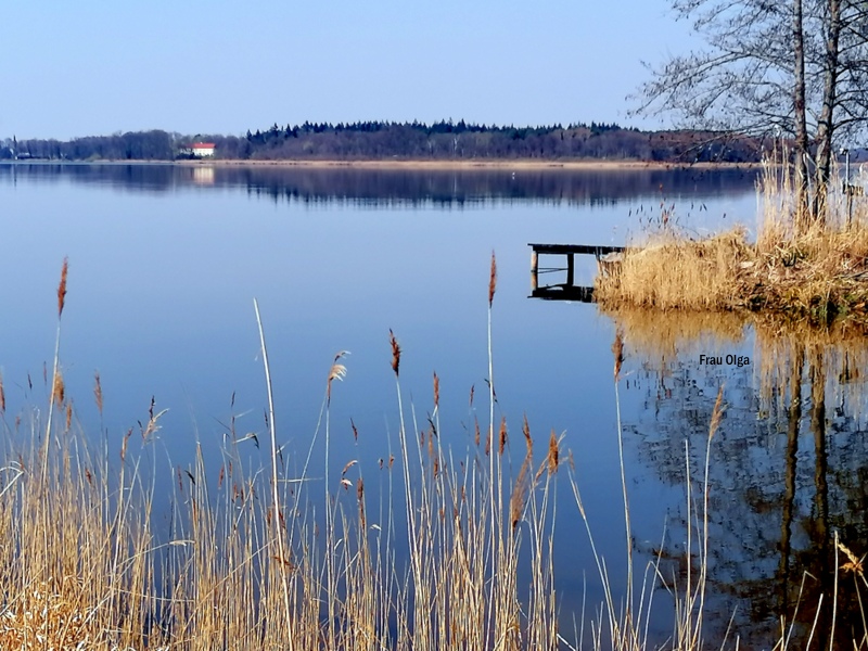 Am Horizont spiegeln sich die Bäume im Wasser