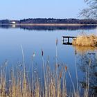 Am Horizont spiegeln sich die Bäume im Wasser