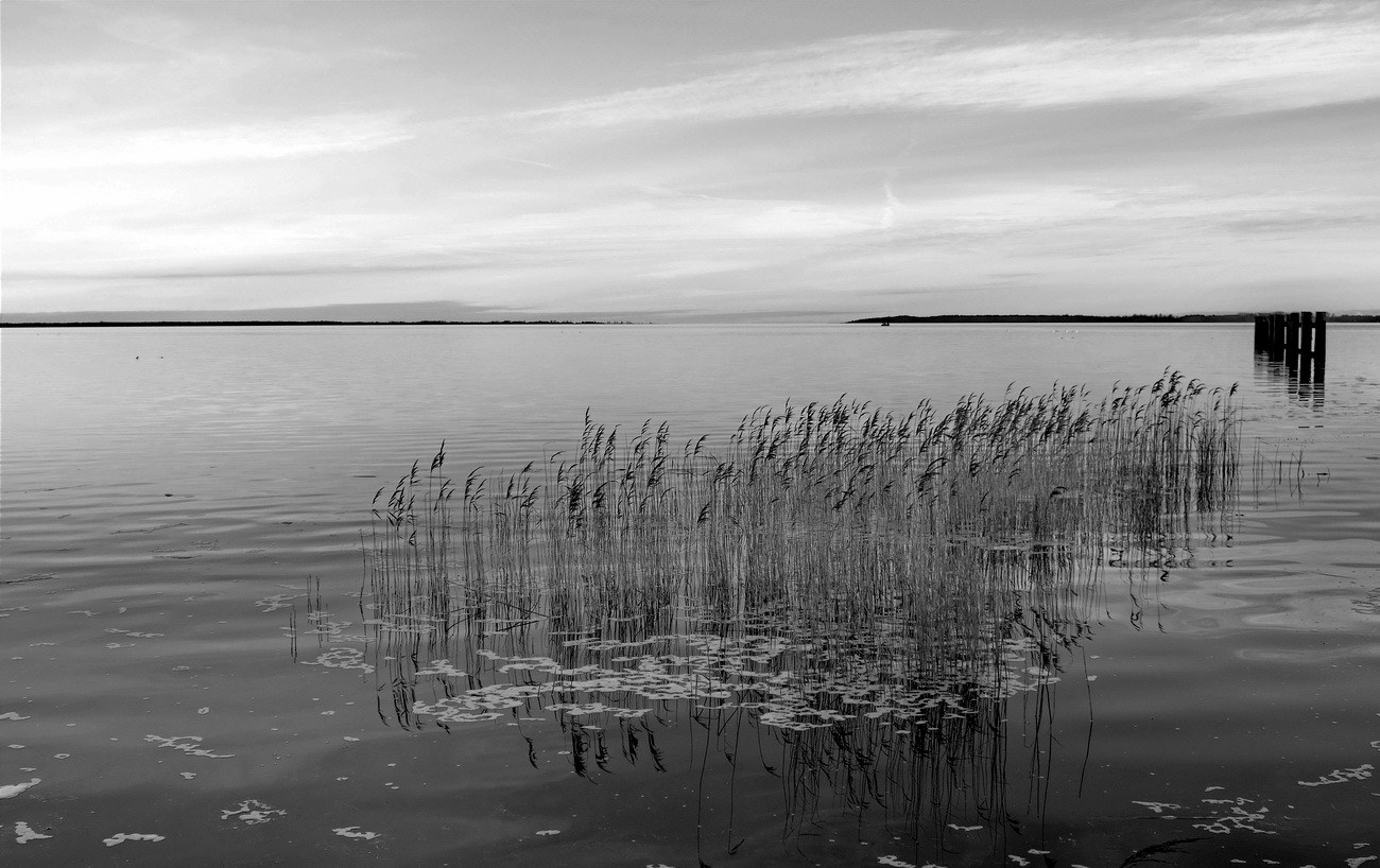 am horizont verschmelzen Bodden und Meer