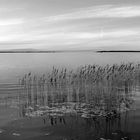 am horizont verschmelzen Bodden und Meer