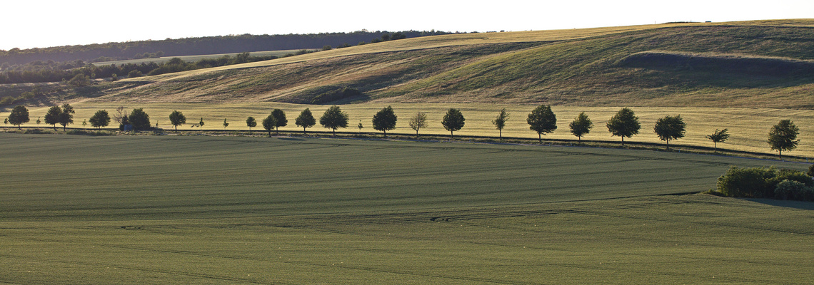 Am Hornburger Sattel