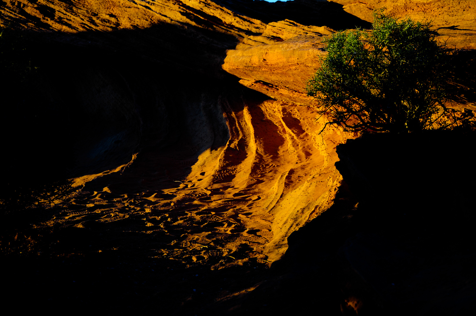 Am Horseshoe Bend