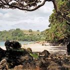 Am Hot Water Beach - Coromandel/NZ