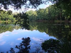 am Hubertussee