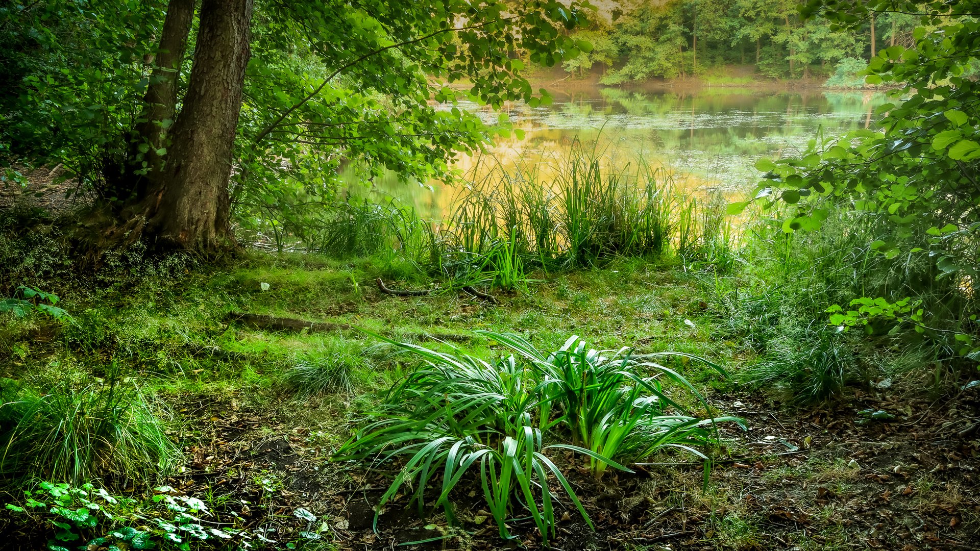 Am Hubertussee