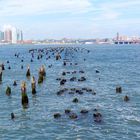 Am Hudson River mit Blick auf New Jersey