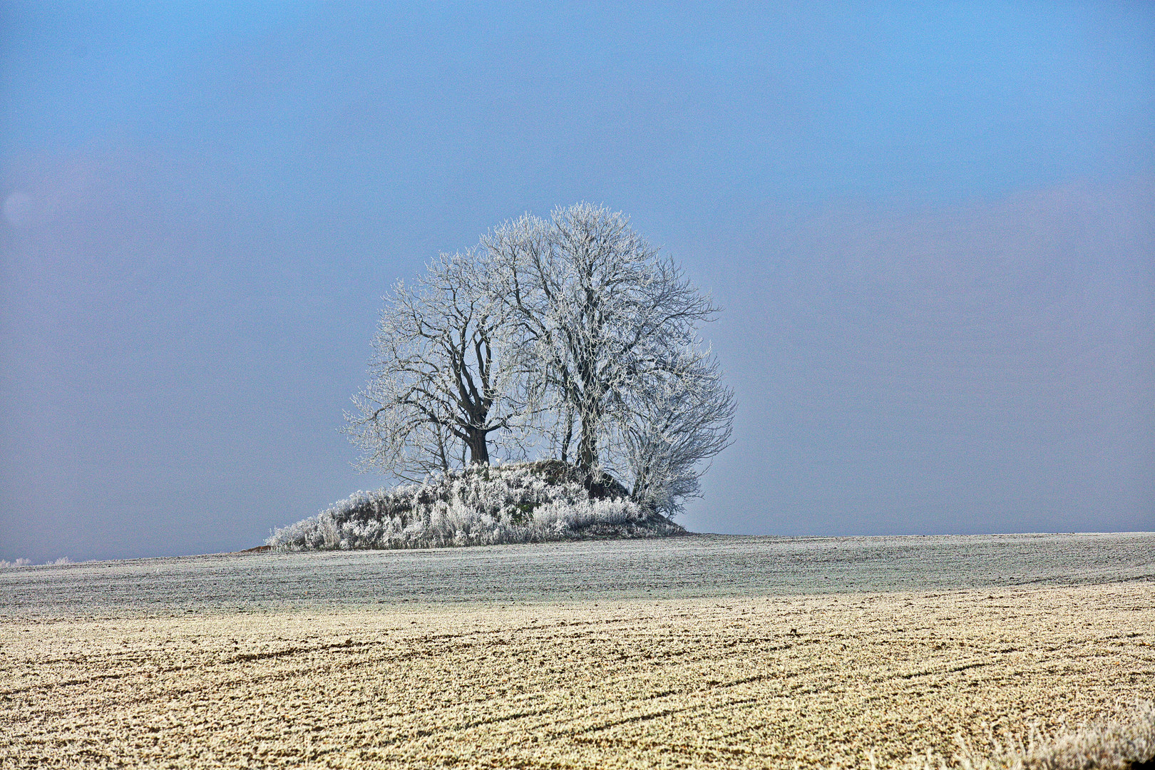 Am Hügel