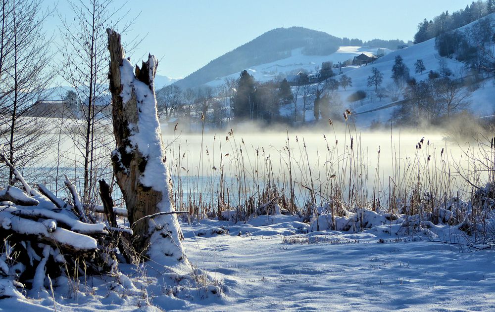 Am Hüttnersee