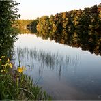 Landschaftsbilder