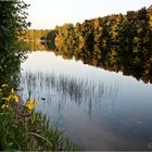 Am Huschtesee