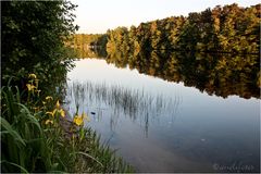 Landschaftsbilder