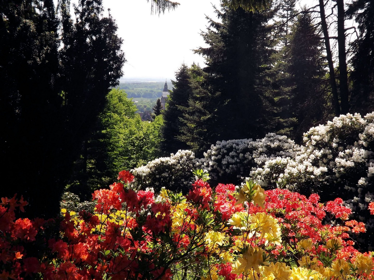 Am Hutberg in Kamenz Foto & Bild landschaft, garten