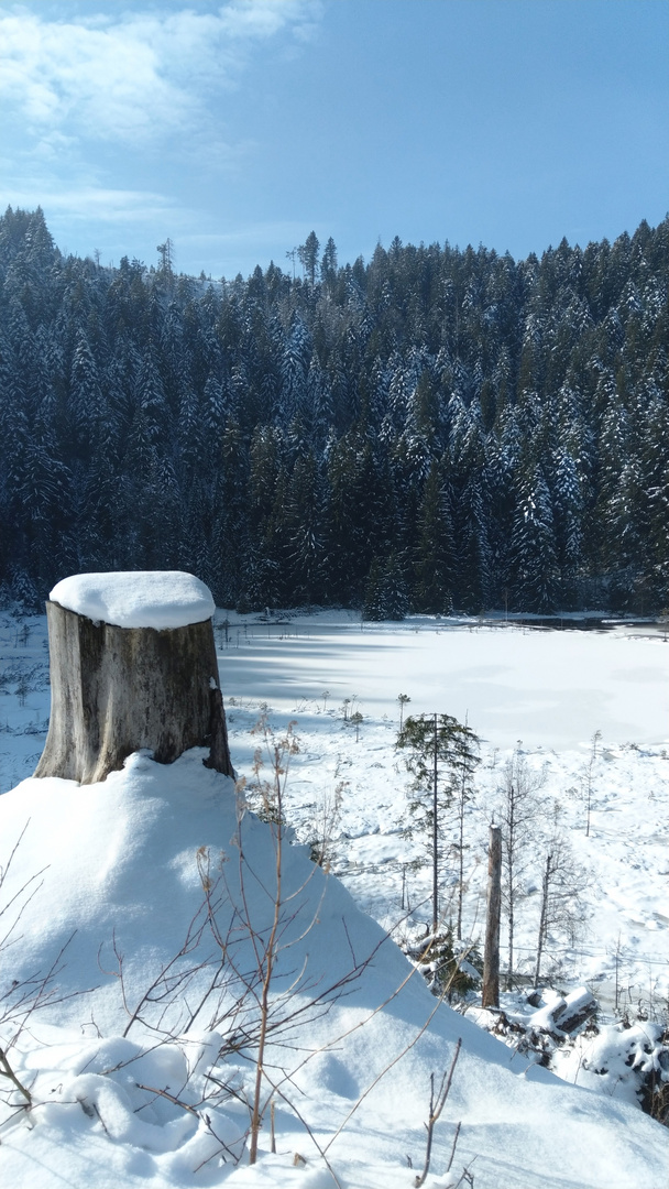 Am Hutzenbacher See