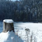 Am Hutzenbacher See