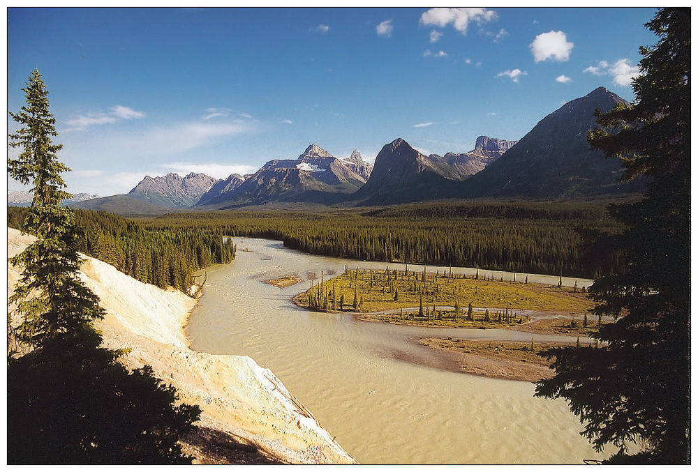 Am Icefield Parkway