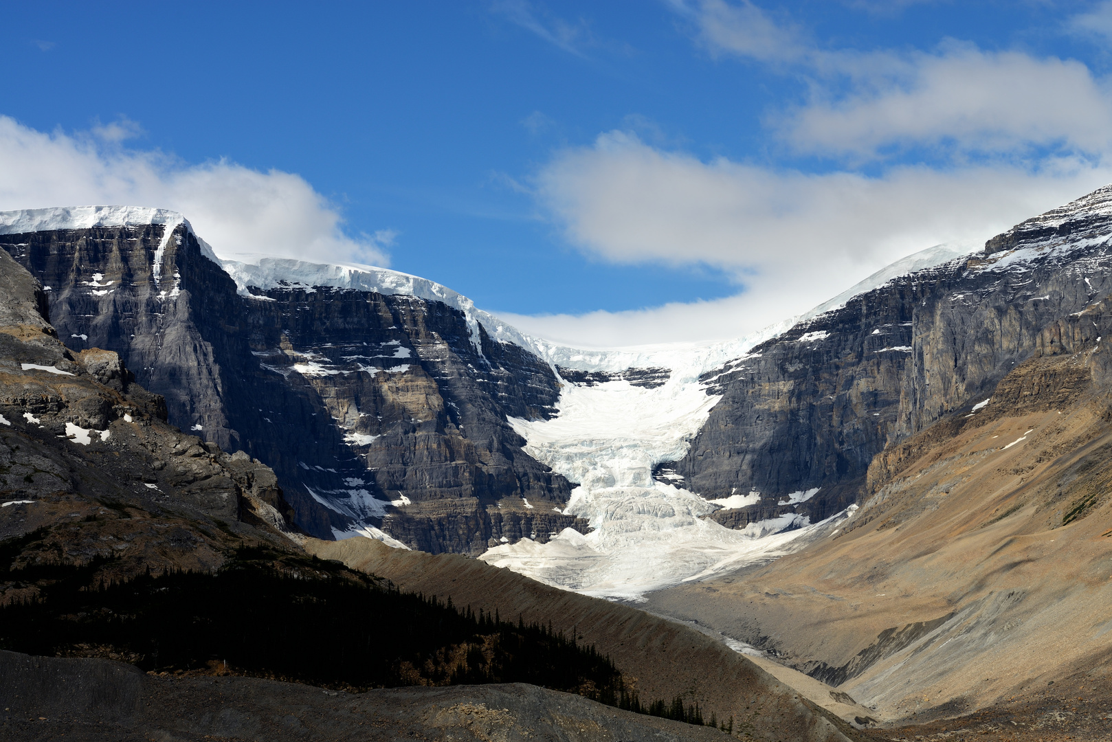 Am Icefields Parkway 1