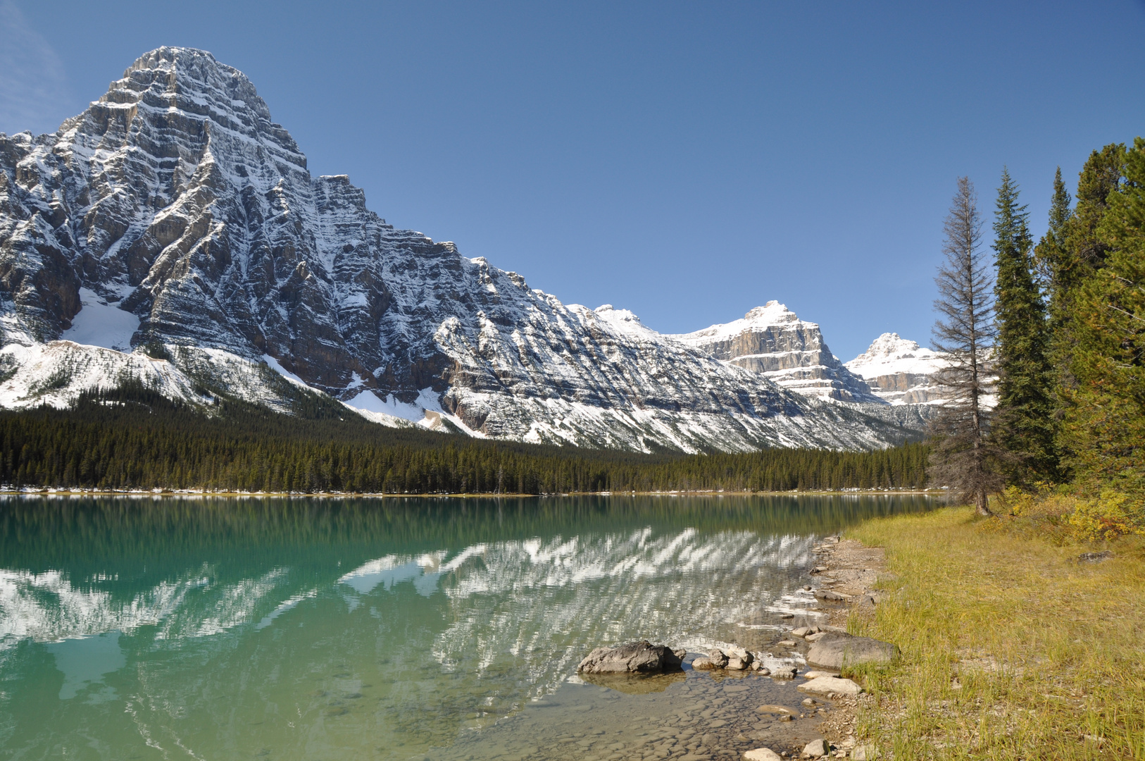 Am Icefields Parkway