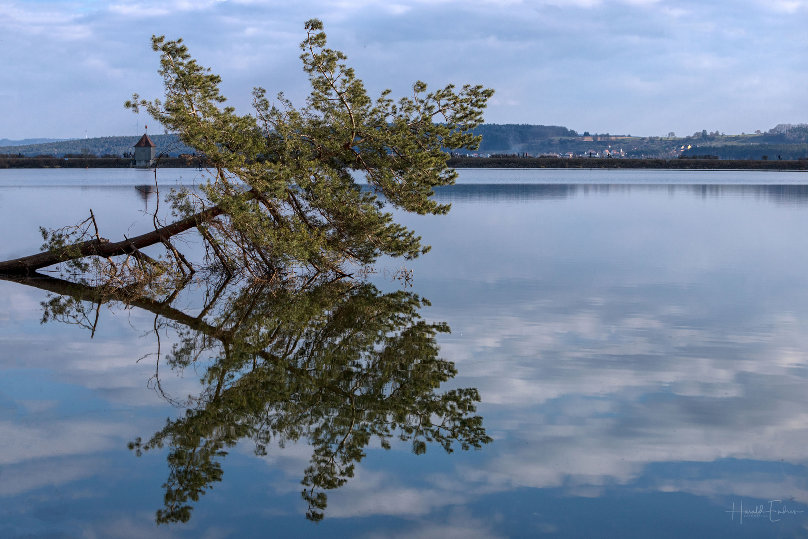 Am Igelsbachsee