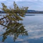 Am Igelsbachsee