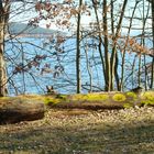 am Igelsbachsee 