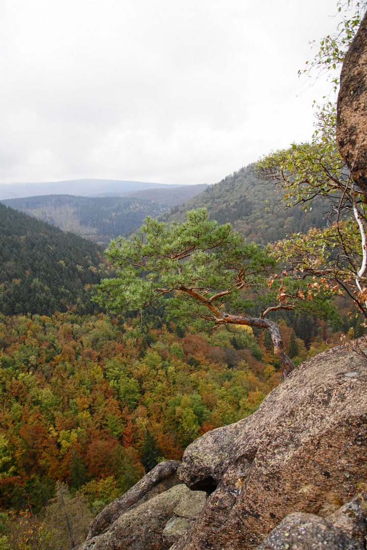 Am Ilsestein im Herbst