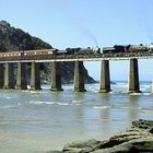 Am Indischen Ozean: Kaaimans River Bridge