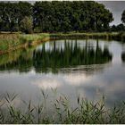 Am Infiltrier-Becken des Wasserwerks