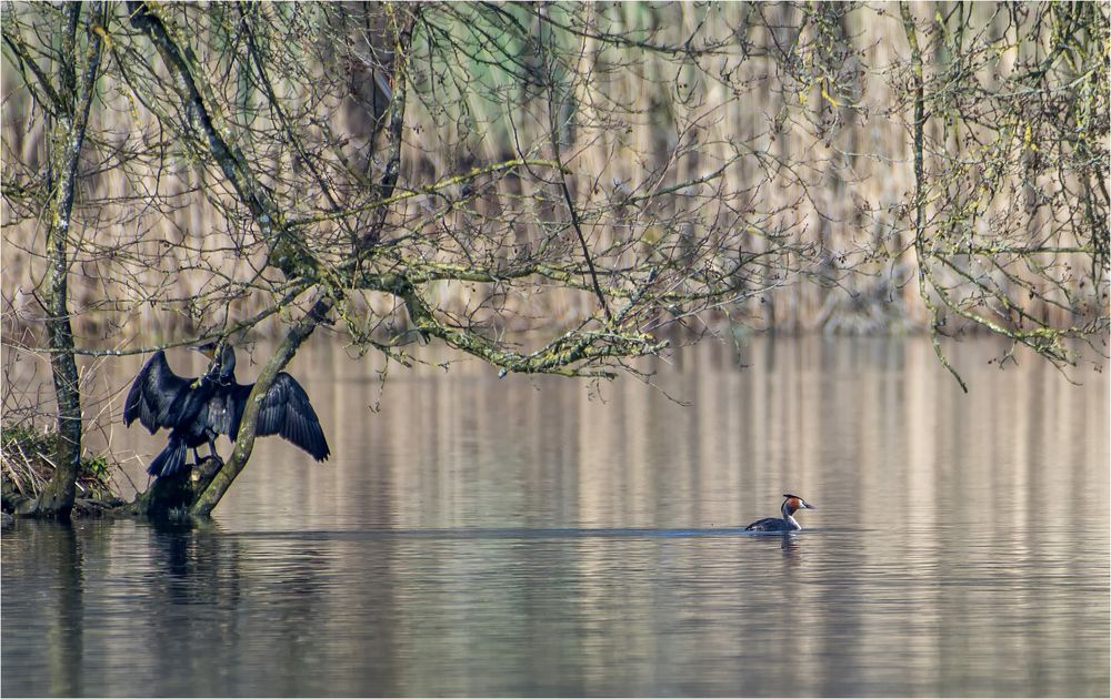 Am Inkwilerseelein