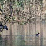 Am Inkwilerseelein