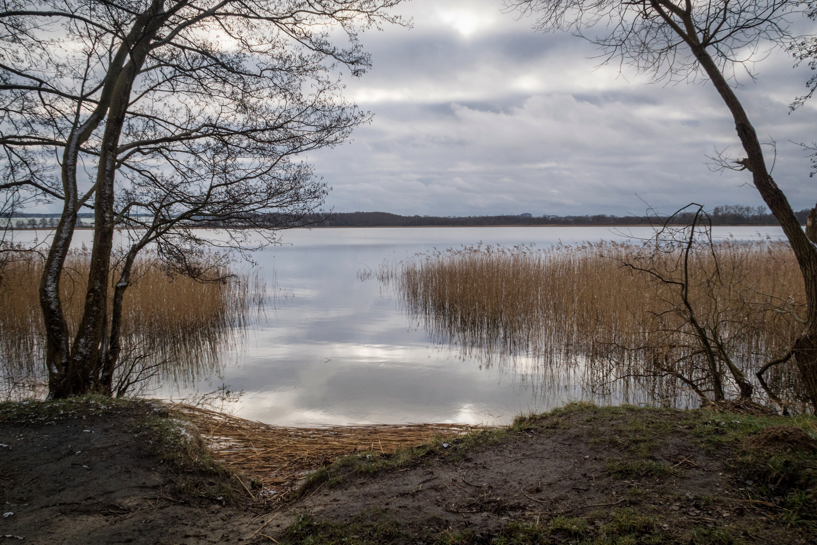 am Inselsee