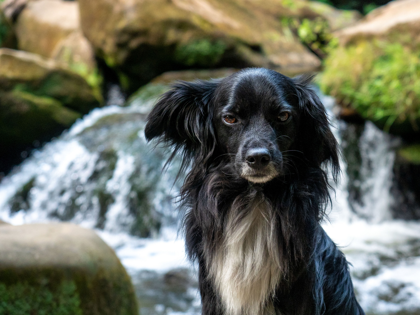 Am Irreler Wasserfall