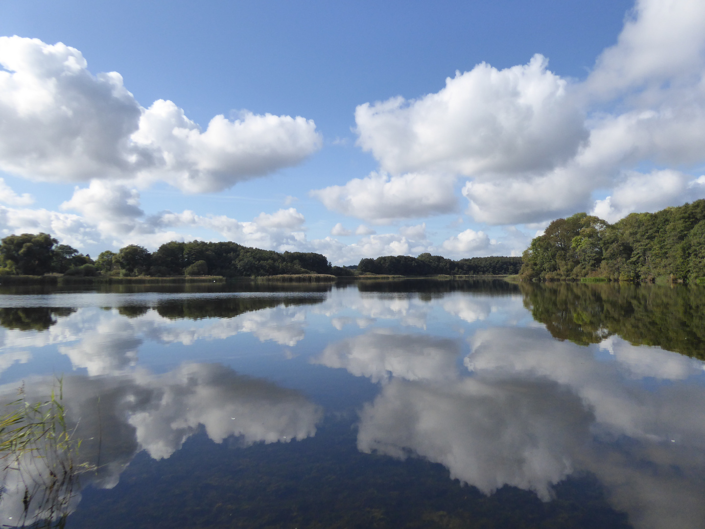 Am Ivenacker See