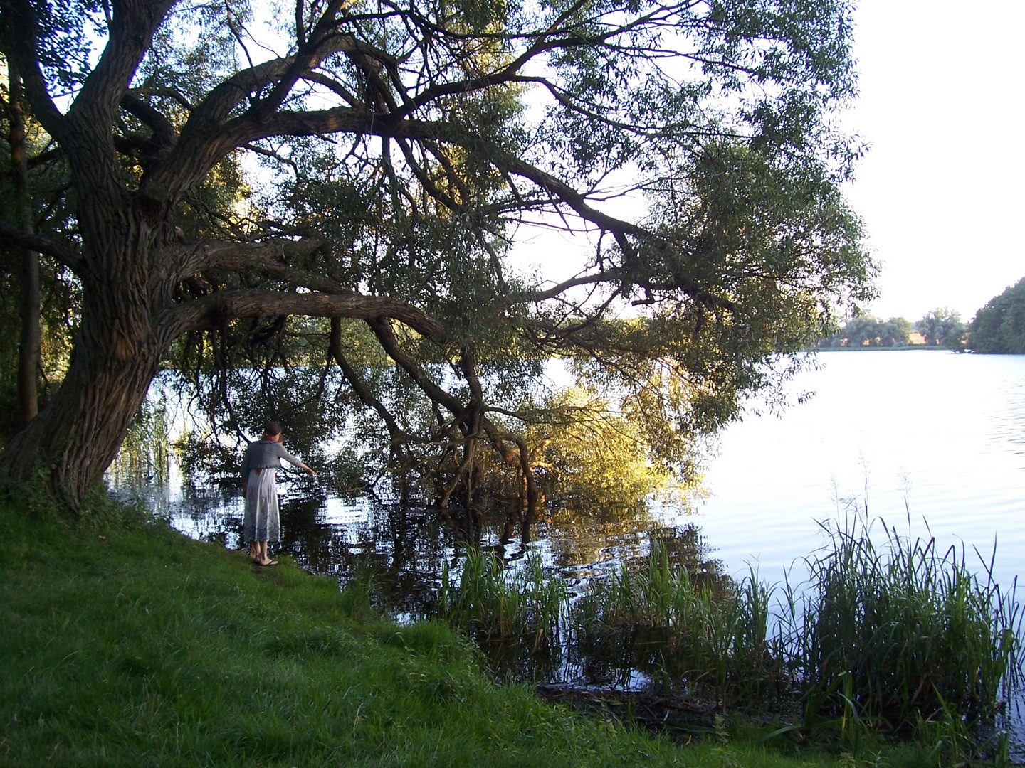 Am Ivenacker See, Mecklenburg-Vorpommern