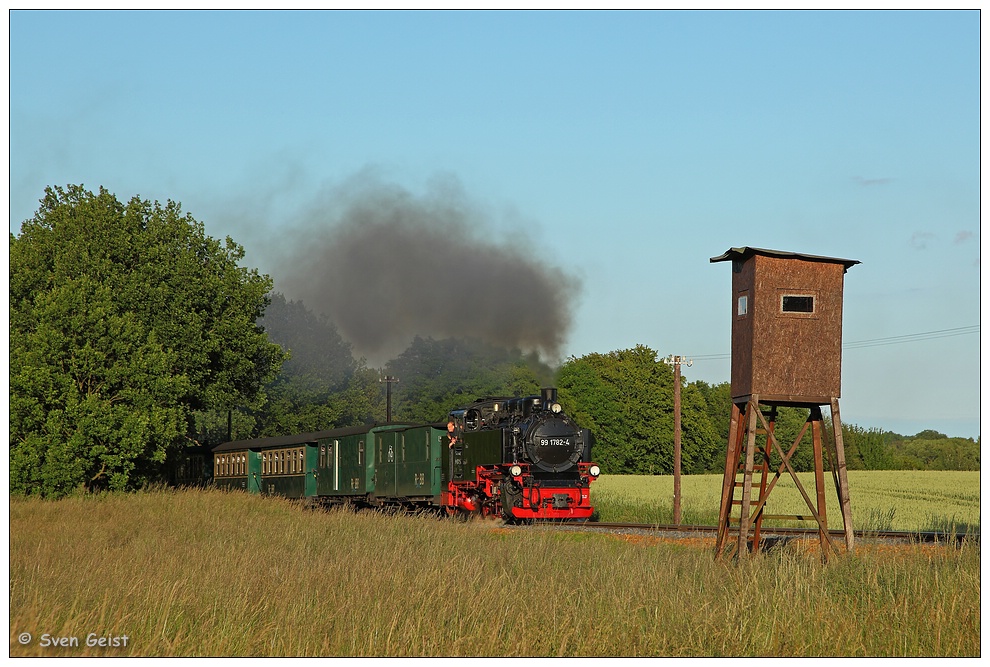 Am Jägerhochsitz vor Putbus (2)