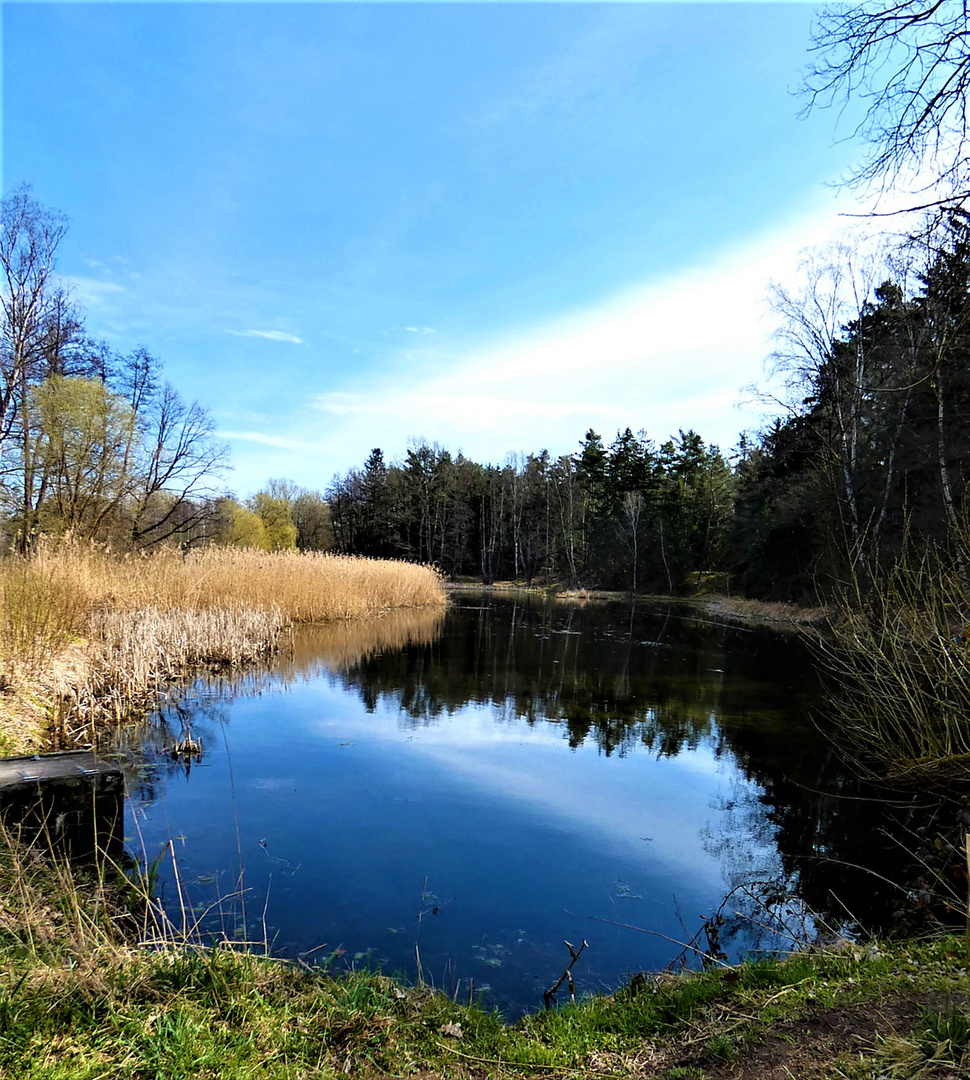 am Jägersee