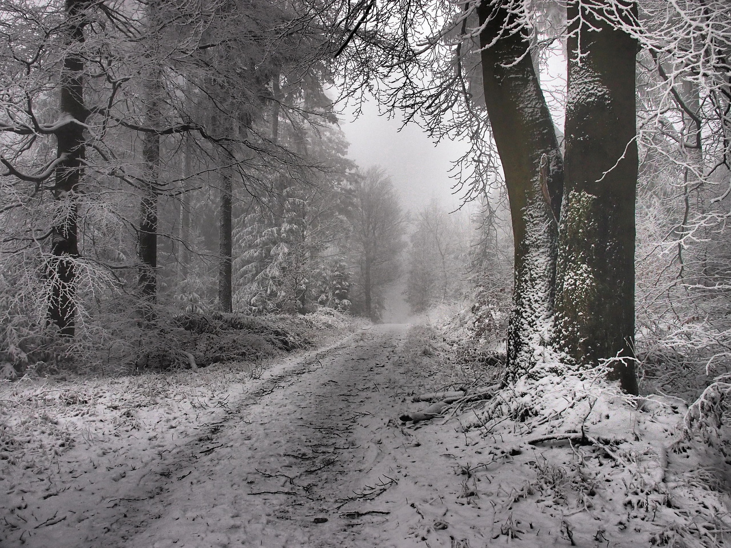 Am Jägersteig