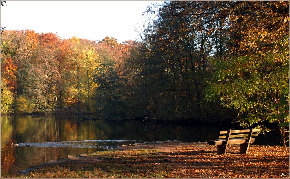 Am Jakobiweiher