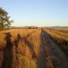 Am Jakobsweg - Die Etappe nach Acebo