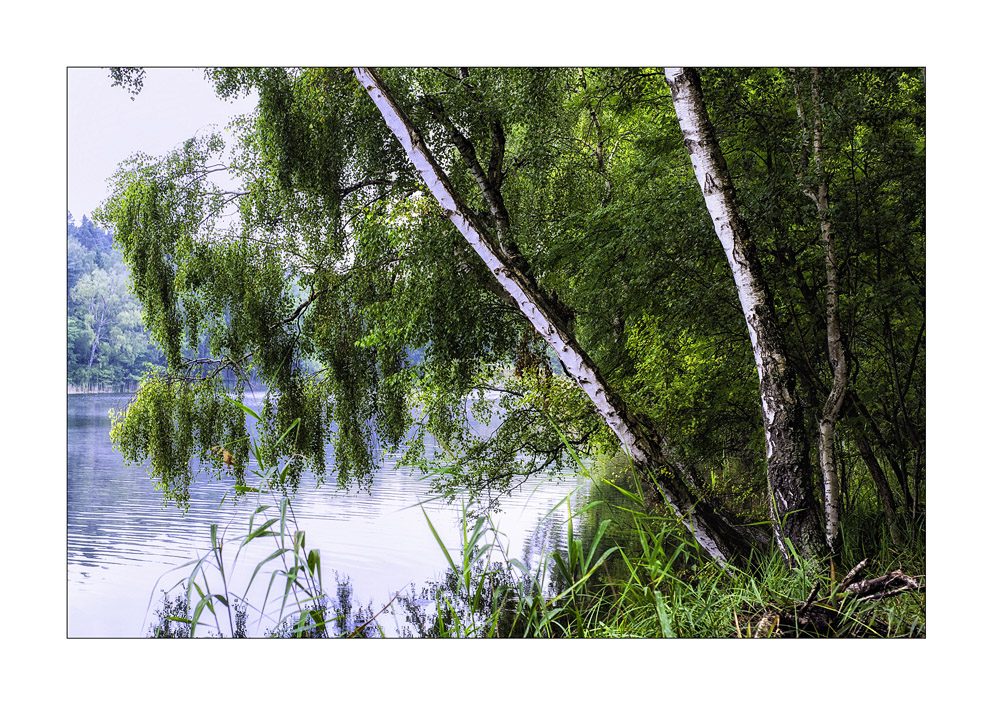 Am Jankersee