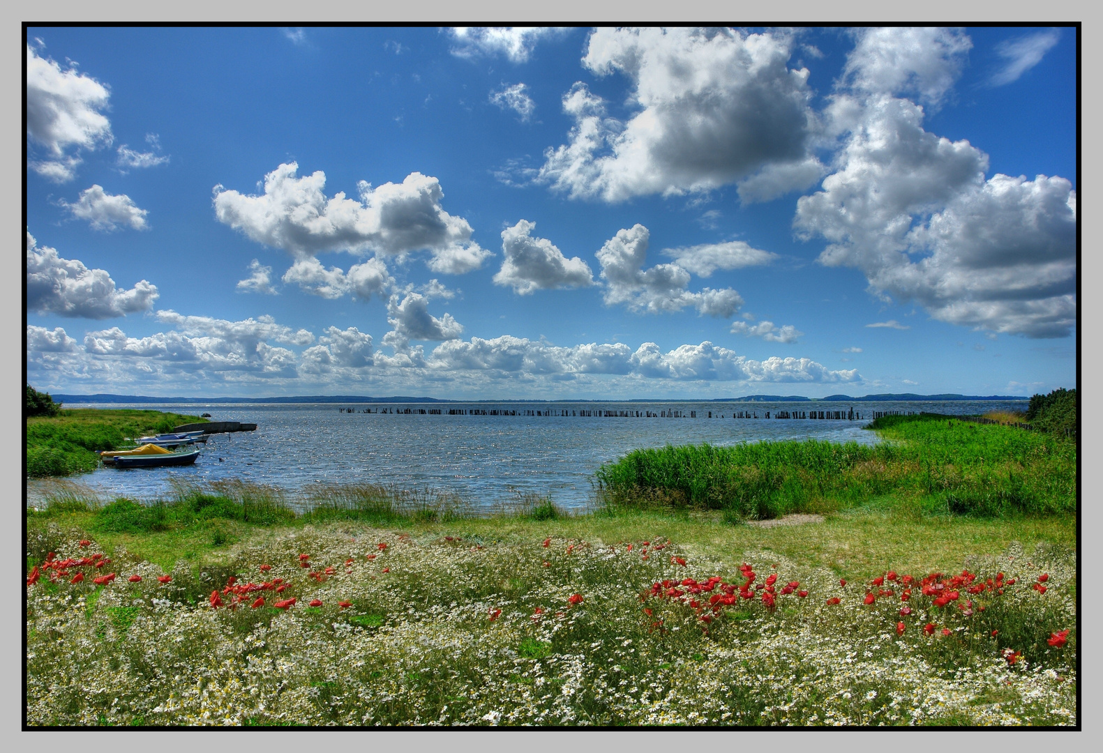 Am Jasmunder Bodden