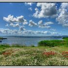 Am Jasmunder Bodden